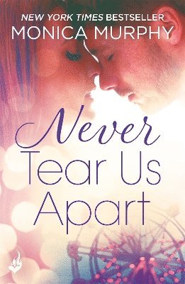 Monica Murphy - Never Tear Us Apart: Never Series 1, Häftad