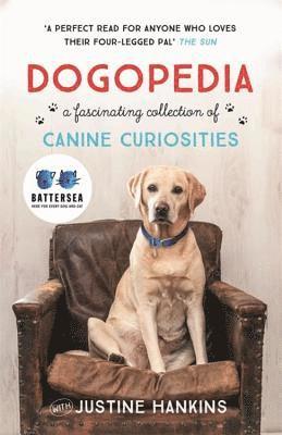 bokomslag Dogopedia