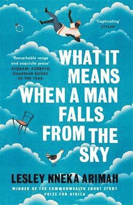 What It Means When A Man Falls From The Sky 1