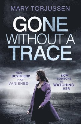 bokomslag Gone Without A Trace