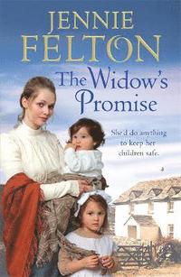 bokomslag The Widow's Promise