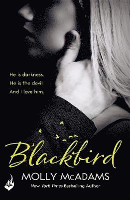 Blackbird 1