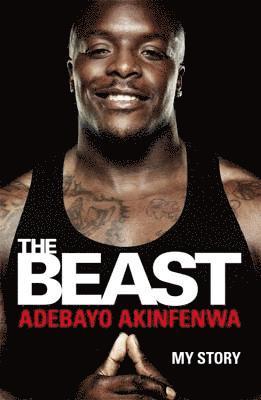 The Beast 1