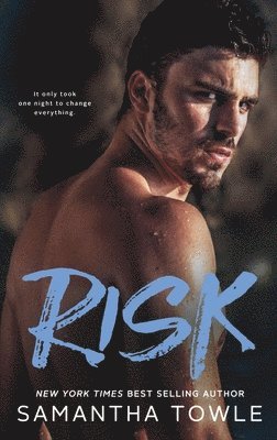 bokomslag Risk