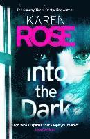 Into the Dark (The Cincinnati Series Book 5) 1