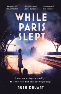 bokomslag While Paris Slept