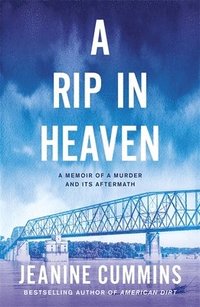 bokomslag A Rip in Heaven