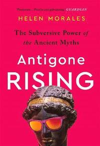 bokomslag Antigone Rising