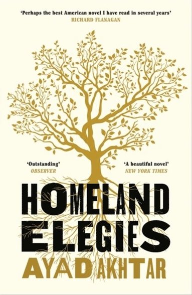 bokomslag Homeland Elegies