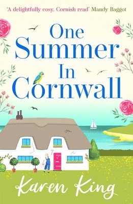 One Summer in Cornwall 1