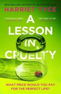 bokomslag A Lesson in Cruelty
