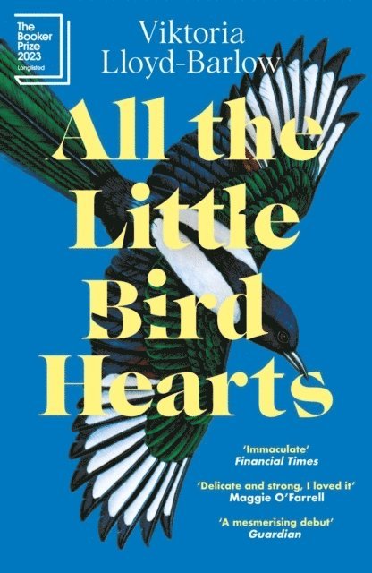 Viktoria Lloyd-Barlow - All the Little Bird-Hearts, Häftad