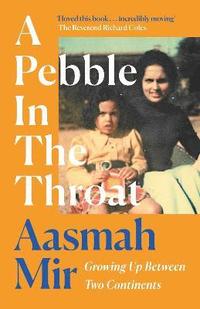 bokomslag A Pebble In The Throat