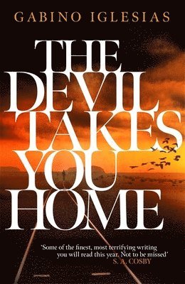bokomslag Devil Takes You Home