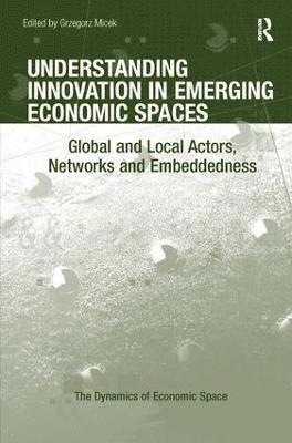 Grzegorz Micek - Understanding Innovation in Emerging Economic Spaces, Inbunden