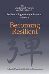 bokomslag Resilience Engineering in Practice, Volume 2