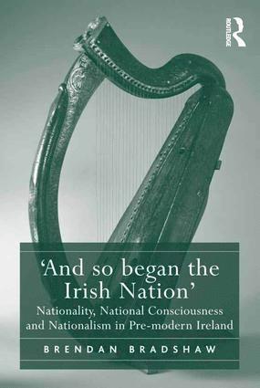 bokomslag 'And so began the Irish Nation'