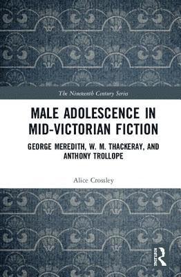 bokomslag Male Adolescence in Mid-Victorian Fiction