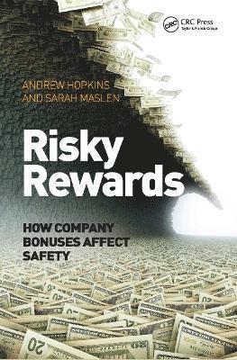 bokomslag Risky Rewards