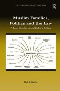 bokomslag Muslim Families, Politics and the Law