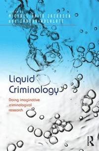 bokomslag Liquid Criminology