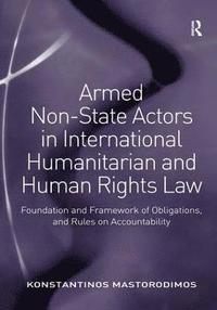 bokomslag Armed Non-State Actors in International Humanitarian and Human Rights Law