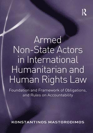 bokomslag Armed Non-State Actors in International Humanitarian and Human Rights Law