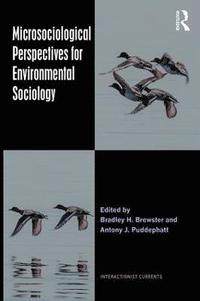 bokomslag Microsociological Perspectives for Environmental Sociology