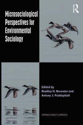 bokomslag Microsociological Perspectives for Environmental Sociology