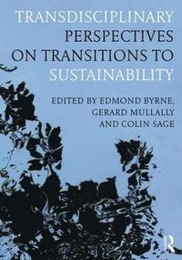 bokomslag Transdisciplinary Perspectives on Transitions to Sustainability