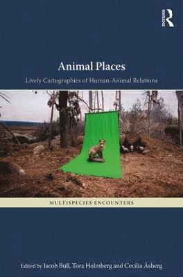 Animal Places 1