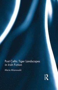 bokomslag Post Celtic Tiger Landscapes in Irish Fiction