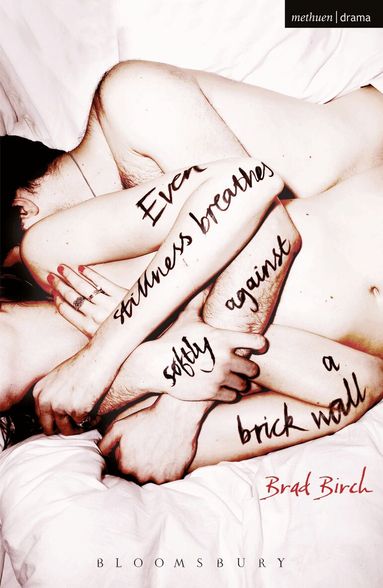 Brad Birch - Even Stillness Breathes Softly Against a Brick Wall, Häftad