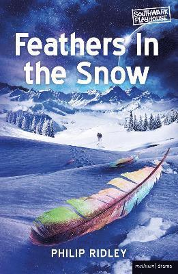 Feathers in the Snow 1
