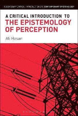 Ali Hasan - Critical Introduction to the Epistemology of Perception, Häftad