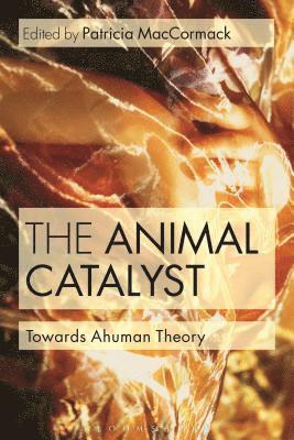 bokomslag Animal Catalyst