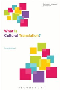 bokomslag What Is Cultural Translation?