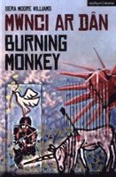 bokomslag Burning Monkey