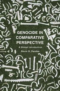 bokomslag Genocide in Comparative Perspective