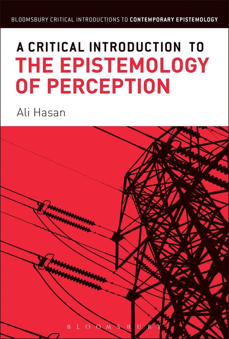 Ali Hasan - Critical Introduction to the Epistemology of Perception, Inbunden