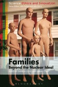 bokomslag Families  Beyond the Nuclear Ideal