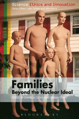 bokomslag Families - Beyond the Nuclear Ideal