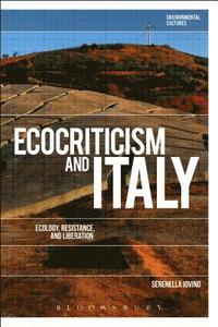 bokomslag Ecocriticism and Italy