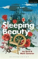 Sleeping Beauty 1