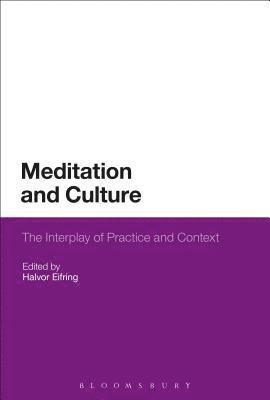 Meditation and Culture 1