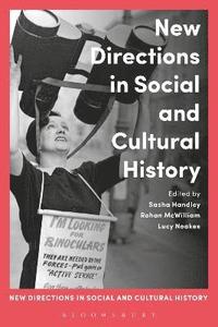 bokomslag New Directions in Social and Cultural History