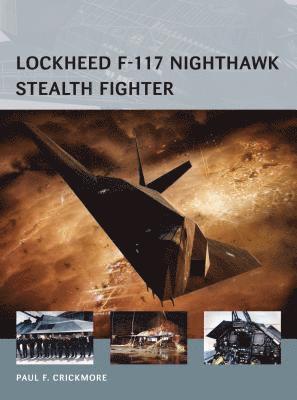 Lockheed F-117 Nighthawk Stealth Fighter 1