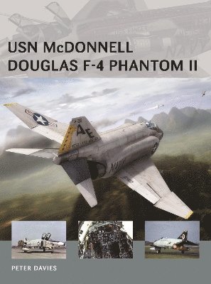 USN McDonnell Douglas F-4 Phantom II 1