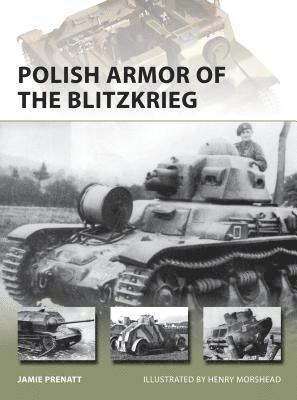 bokomslag Polish Armor of the Blitzkrieg