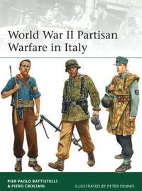 bokomslag World War II Partisan Warfare in Italy